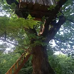 La Ferme Des Cevennes * Florac