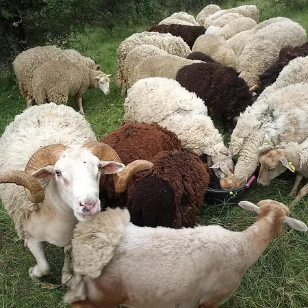 La Ferme Des Cévennes Florac