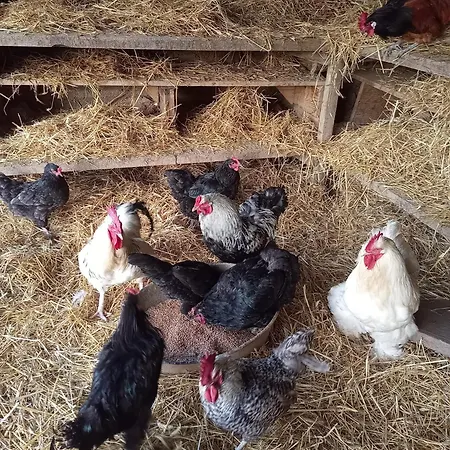 La Ferme Des Cevennes Hotel Florac