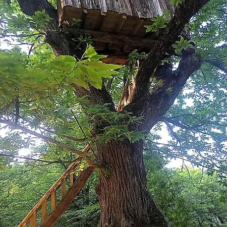 Ξενοδοχείο La Ferme Des Cevennes Florac