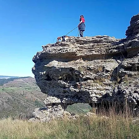 La Ferme Des Cevennes Ξενοδοχείο *