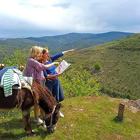 La Ferme Des Cevennes Florac