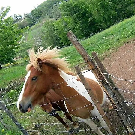 La Ferme Des Cevennes *