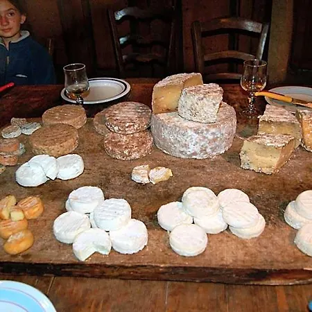 Ξενοδοχείο La Ferme Des Cevennes *