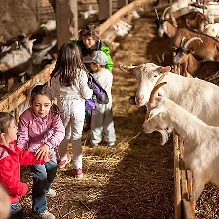 La Ferme Des Cevennes