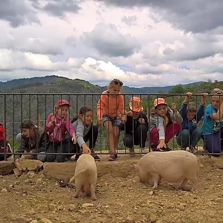 La Ferme Des Cevennes *
