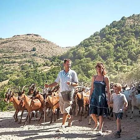 La Ferme Des Cevennes Florac