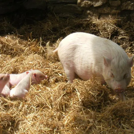 La Ferme Des Cevennes