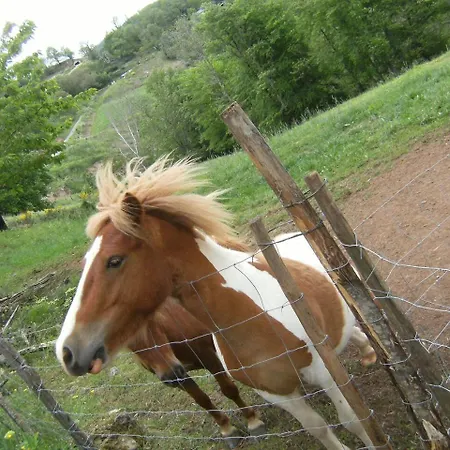 La Ferme Des Cevennes Hotell *