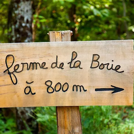 Szálloda La Ferme Des Cevennes Florac