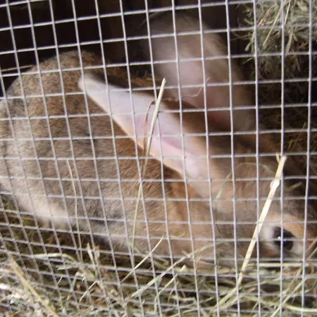 La Ferme Des Cévennes